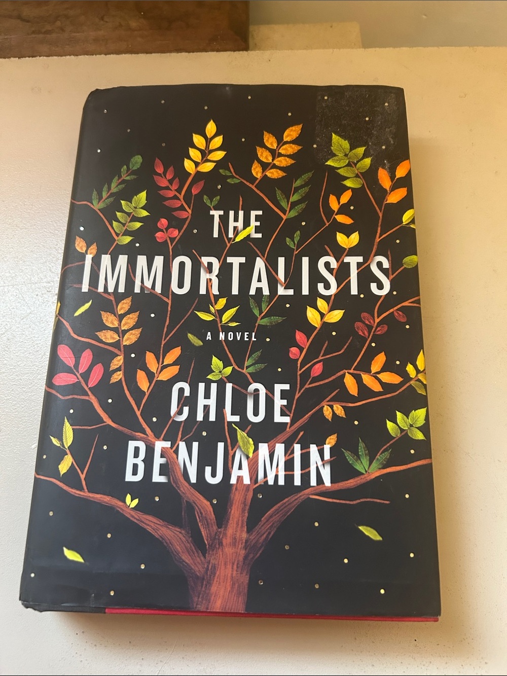 'The Immortalists' by Chloe Benjamin Hardcover